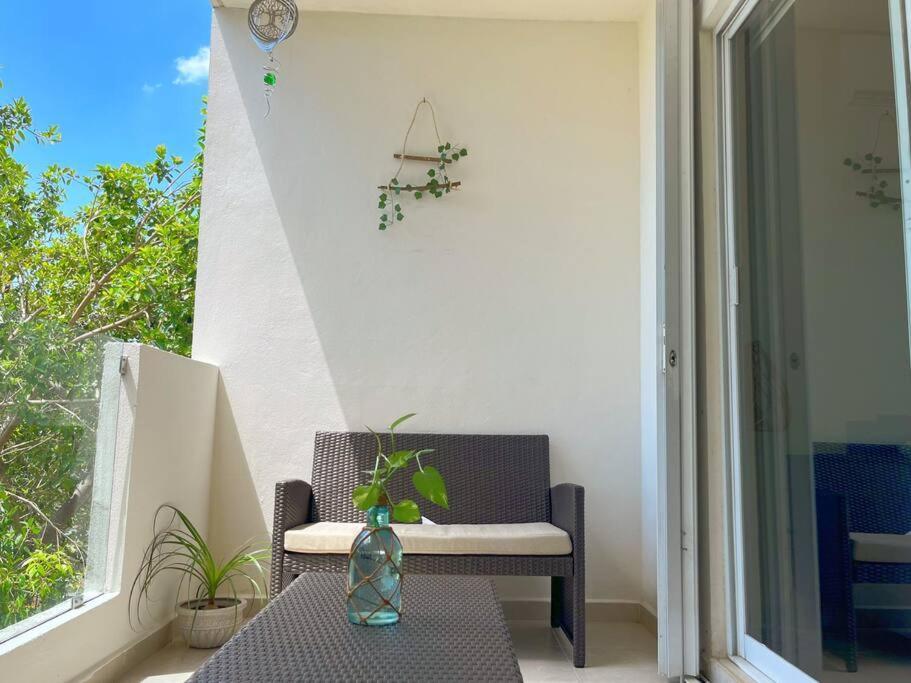 Apartamento Bonito Y Amplio Departamento En Hermoso Playa del Carmen