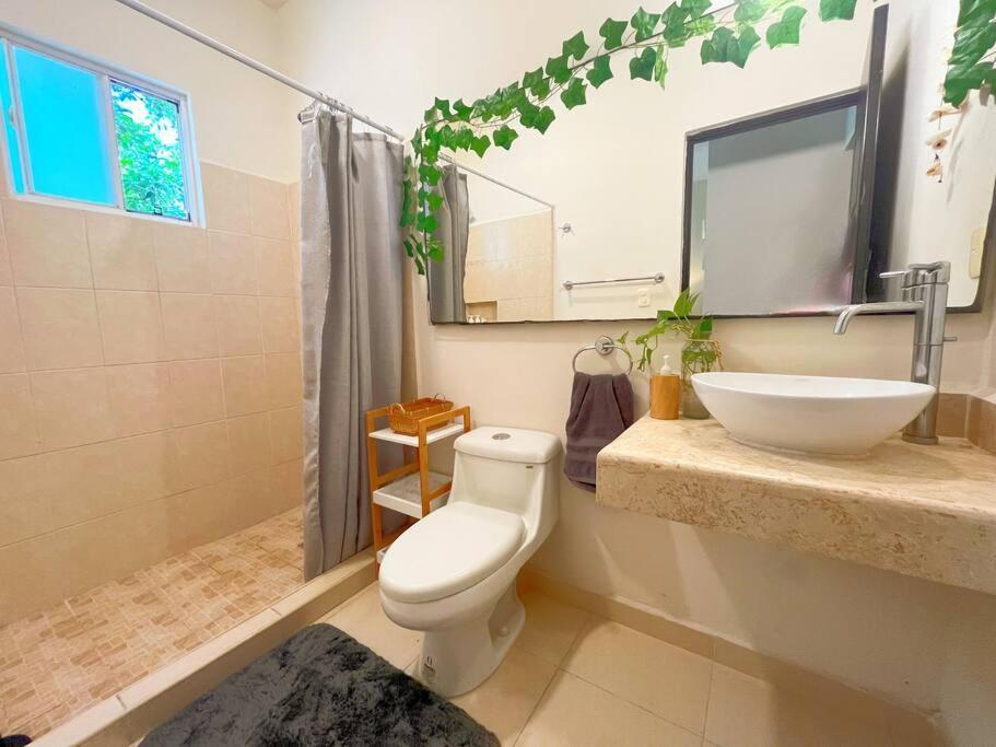 Bonito Y Amplio Departamento En Hermoso Apartamento