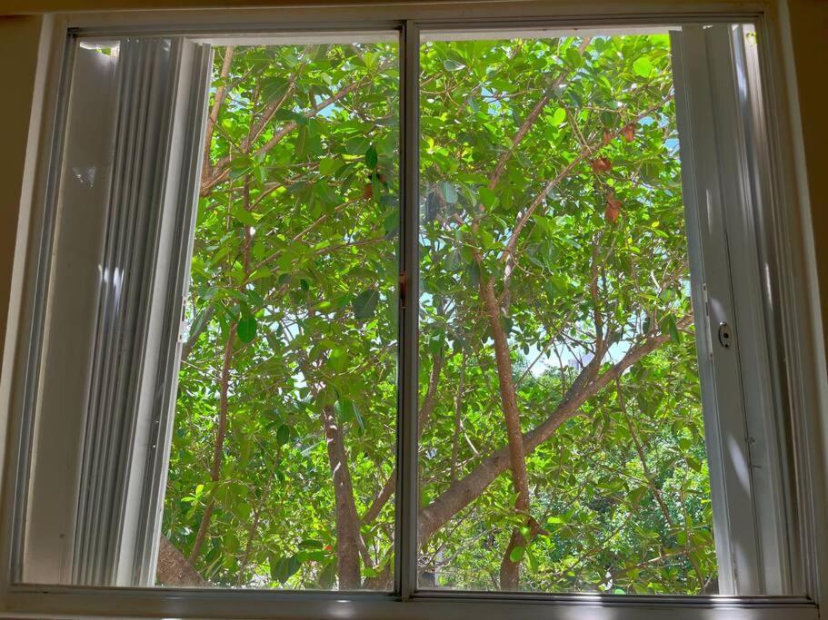 Apartamento Bonito Y Amplio Departamento En Hermoso Playa del Carmen